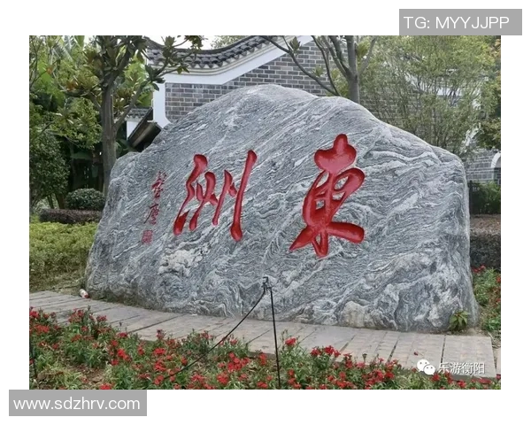 姚明明yy的成长之路与篮球梦想的追寻与实现