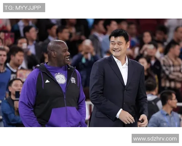 鲨鱼与姚明的奇妙碰撞探索海洋与篮球的奇幻旅程